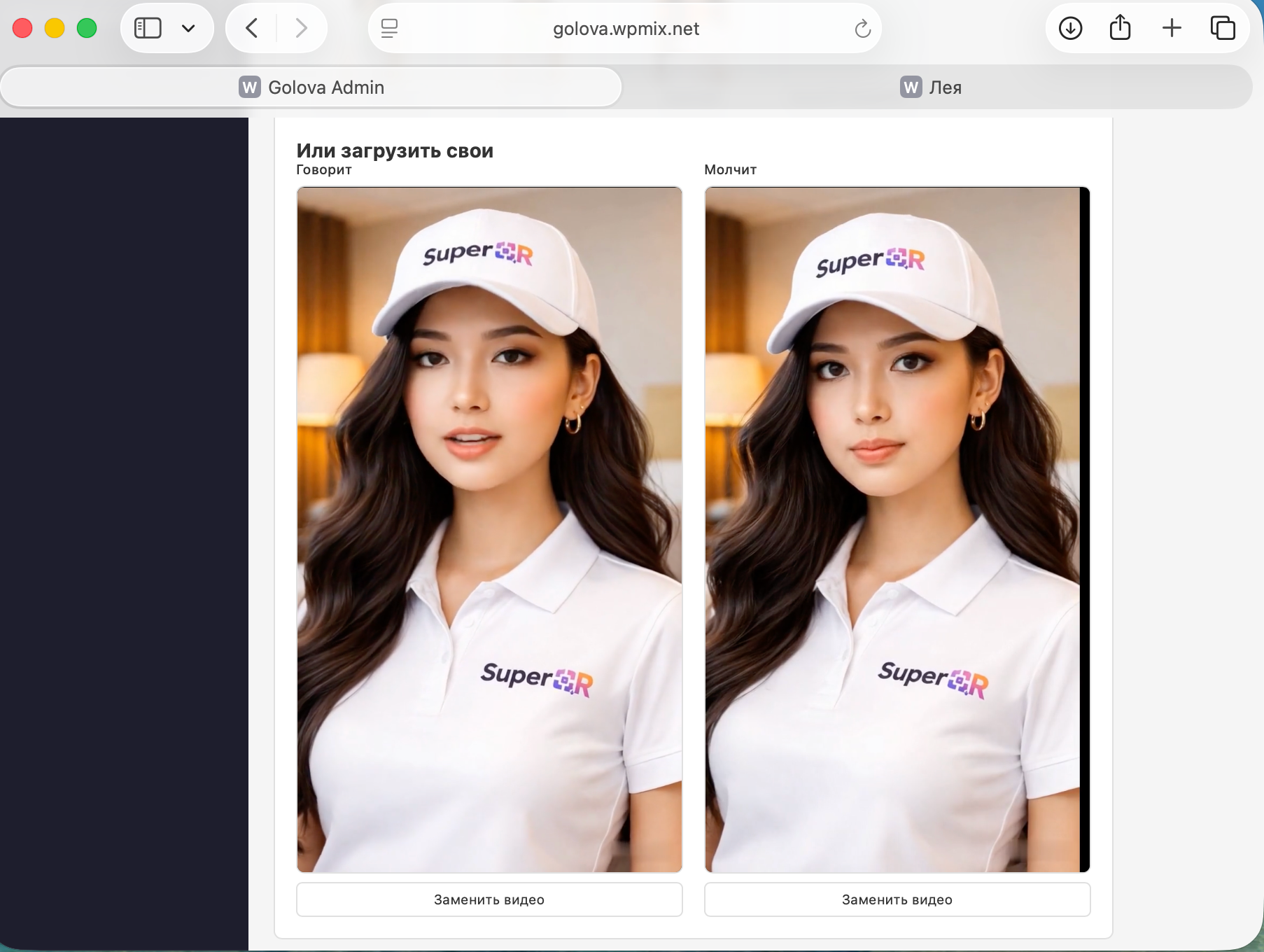 Demo of the avatar widget on the site